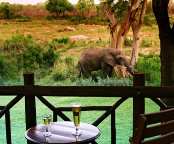 Kruger Affordable Style ― Perfect Gay Honeymoons | Award Winning UK Gay Honeymoon Specialists